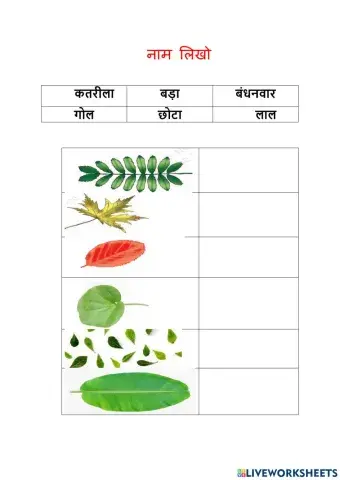 Read and match names