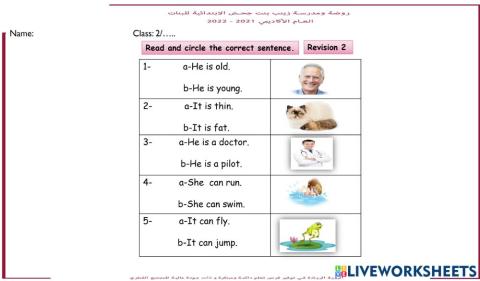 Read and choose the correct sentence