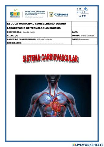 Sistema cardiovascular