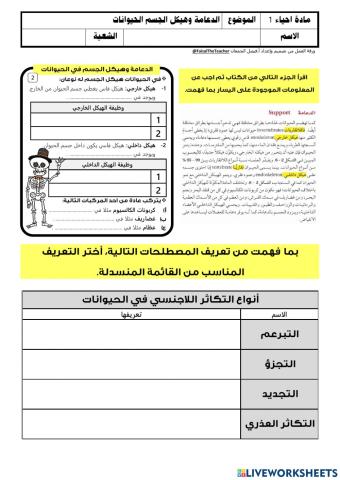 هيكل الحيوانات والتكاثر اللاجنسي في الحيوانات