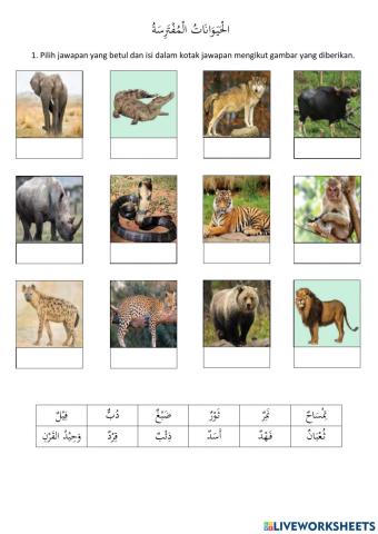 الْحَيَوَانَاتُ الْمُفْتَرِسَةُ