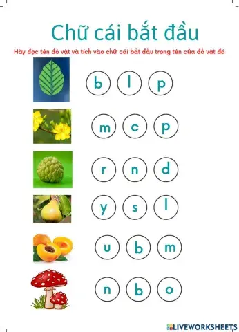 bài tập cữ cái L-M-N