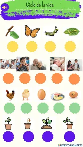 Ciclo de la vida
