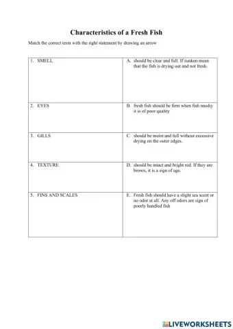 Characteristics of a Fresh Fish
