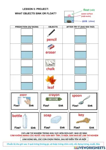 Lesson 5. what objects SINK OR FLOAT?