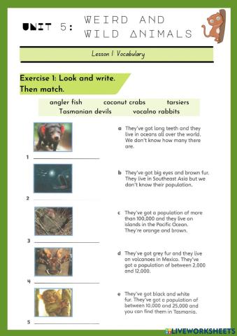 Weird and Wild Animals