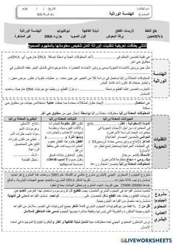 ورقة 64تفاعلية3