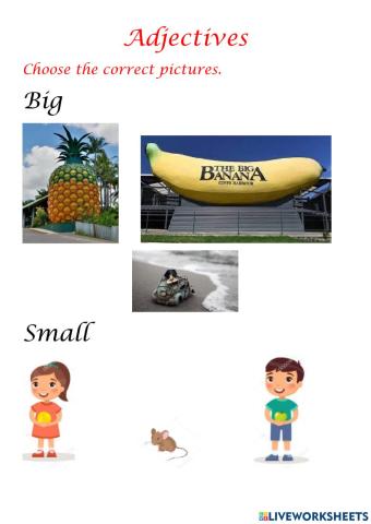 Rafa 5th: Adjectives