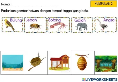 Tempat tinggal haiwan