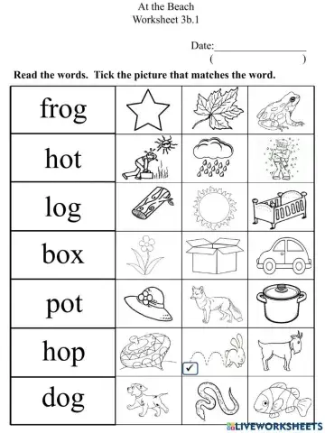 3b.1 Short O Words Worksheet