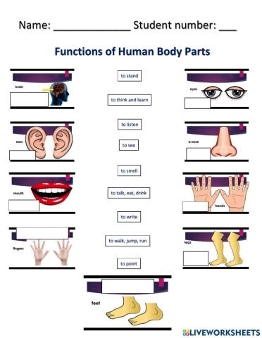 Functions of Body parts