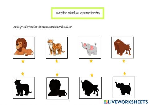 จับคู่เงาสัตว์
