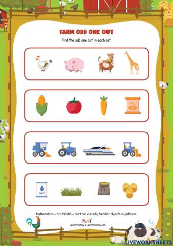 A Year On Our Farm - Farm Odd One Out