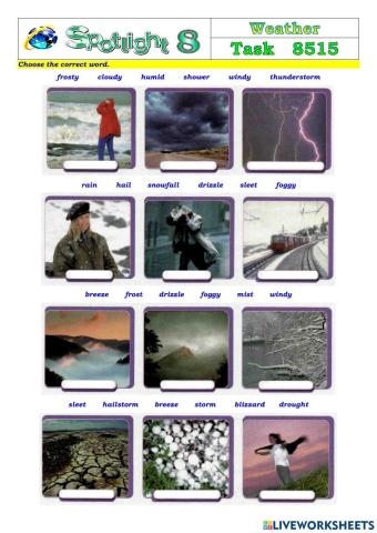 Spotlight 8 Task 8515