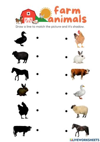 Farm Animals:Match 2