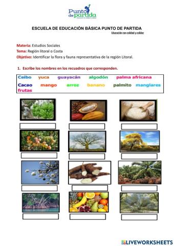 Región Litoral o Costa