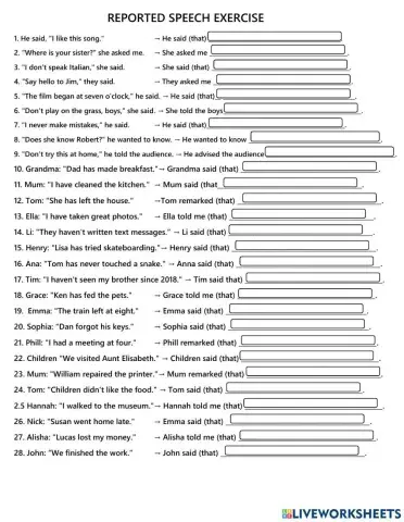 Reported Speech Exercise