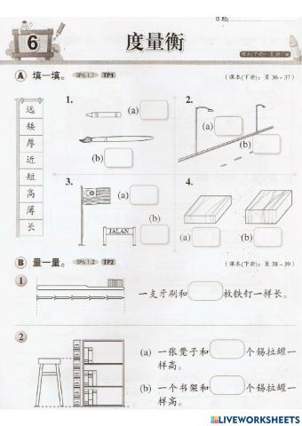 一年级数学 6.0度量衡（评估）