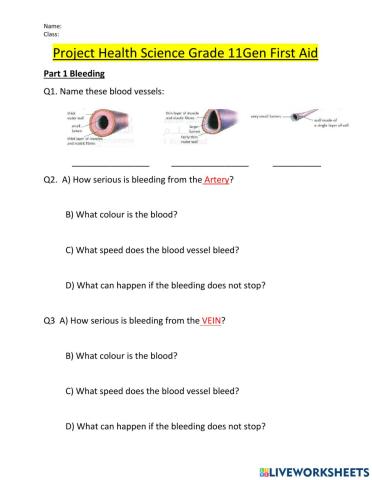 Health Science G11 Project 2021 First Aid Option2