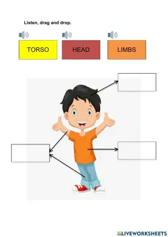 Parts of the body (I) 1º