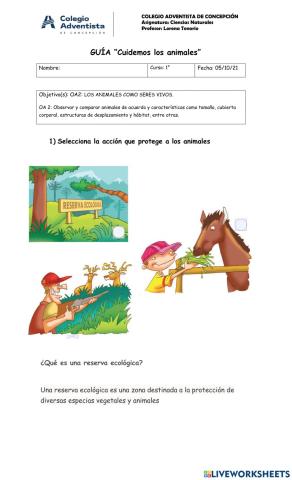 Cuidado de los animales