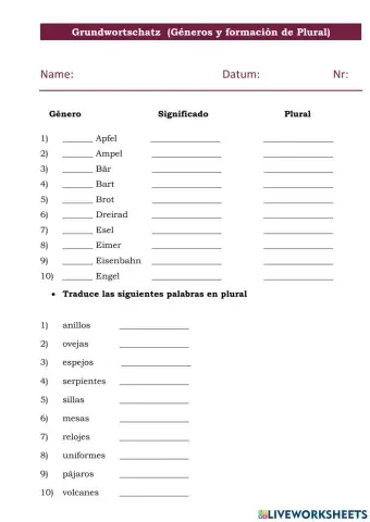 Vocabulario básico generos y plurales prueba corta