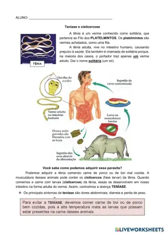 Teníase e cisticercose