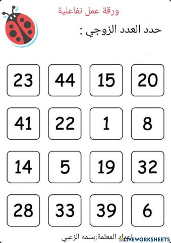 العدد الزوجي