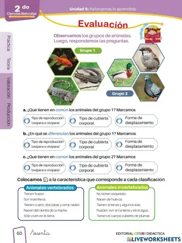 Habitat y necesidades de los animales