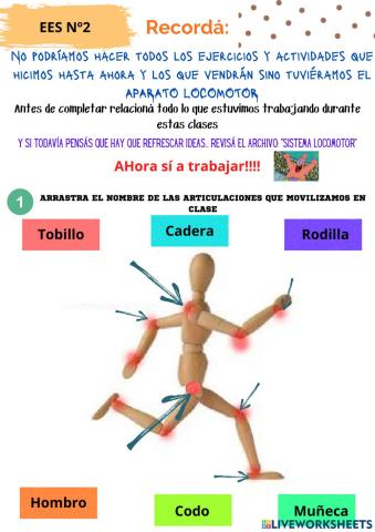 Mi cuerpo y el movimiento