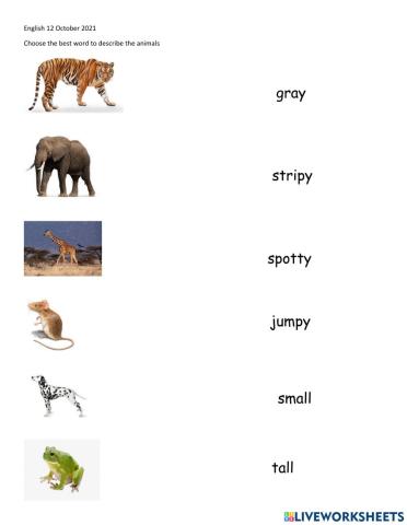 Adjectives describing animals