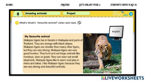 Year 4 amazing animals