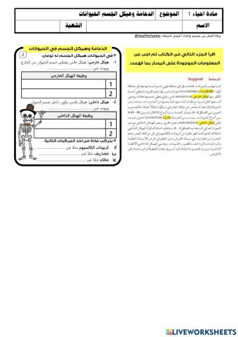 هيكل الحيوانات