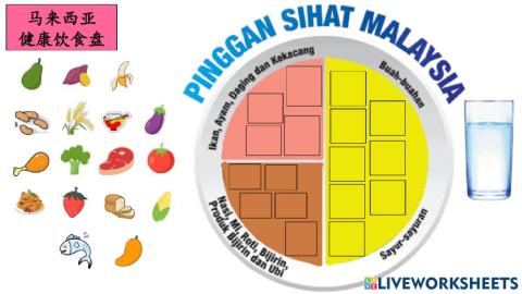二年级健康教育（健康餐盘）
