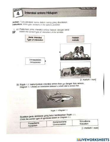 Interaction among animal science year 6