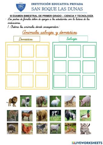 Examen bimestral  de ciencia
