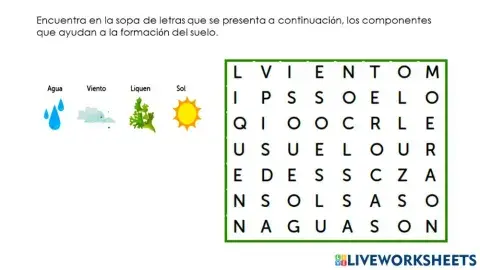 Componentes del suelo