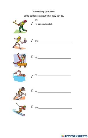 Can -Can't Exercises