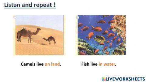 connect plus kg1 term1 unit3 p42