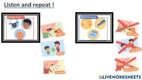connect plus kg1 term1 unit3 p44