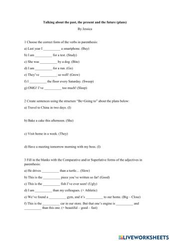 Talking about the past, the present and the future (plans)