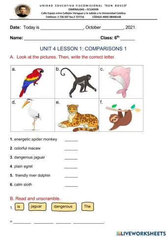 THE AMAZON RAIN FOREST-ACTIVITIES