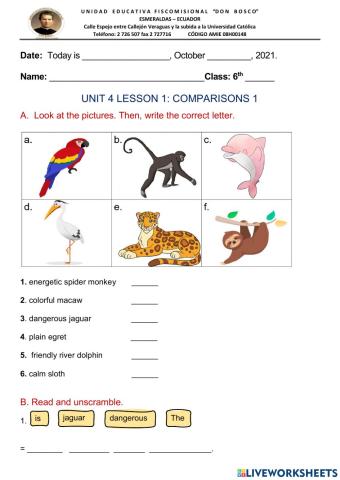 THE AMAZON RAIN FOREST-ACTIVITIES