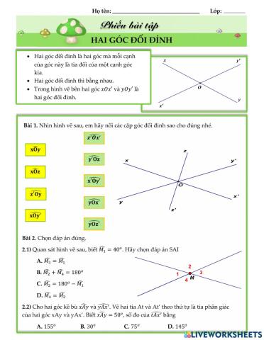 TOÁN 7. Hai góc đối đỉnh