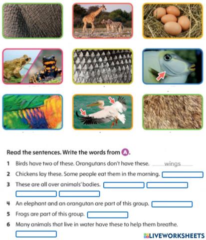 Parts of body animals