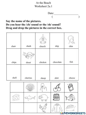 2a.1 Ch Sh worksheet