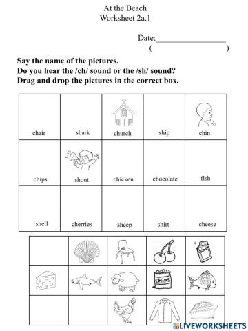 2a.1 Ch Sh worksheet