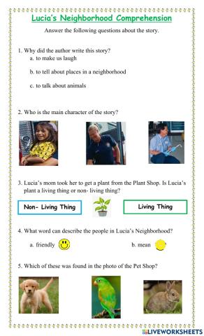 Lucia's Neighborhood Comprehension