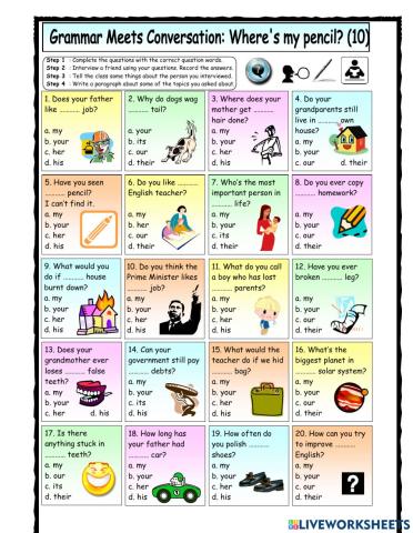 Possessive adjectives