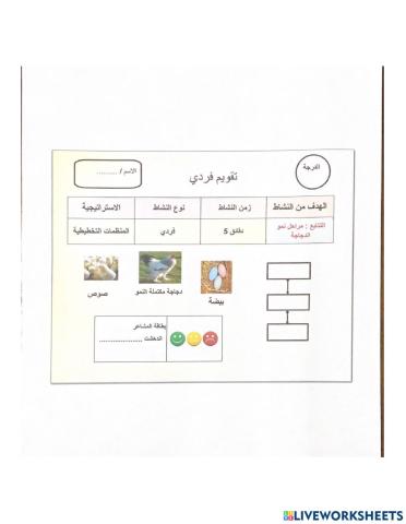 ورقة عمل تفاعلية ( مهارة الترتيب )